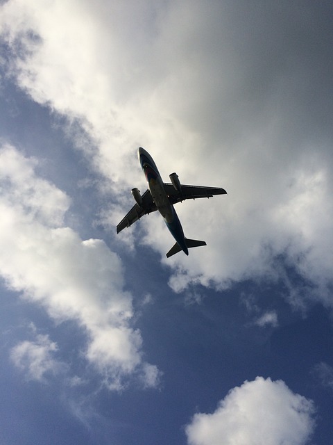 sky, plane in the sky, vacation